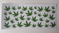 Cannabis Plant Decal
